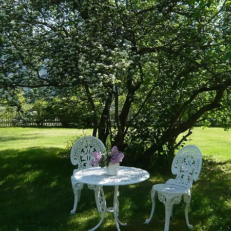 Hagaled Gjestegard 3* نيسبين